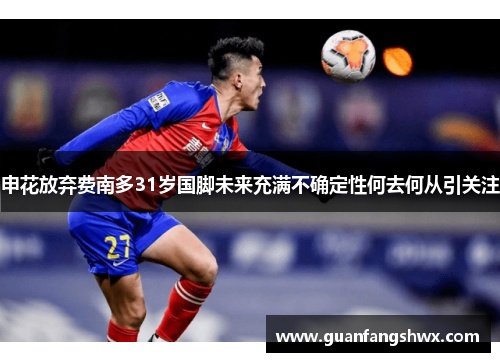 申花放弃费南多31岁国脚未来充满不确定性何去何从引关注