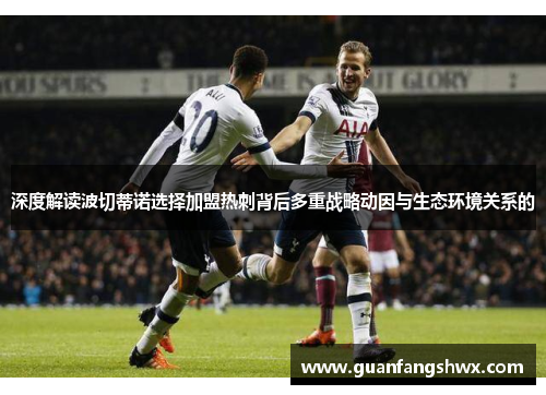 深度解读波切蒂诺选择加盟热刺背后多重战略动因与生态环境关系的